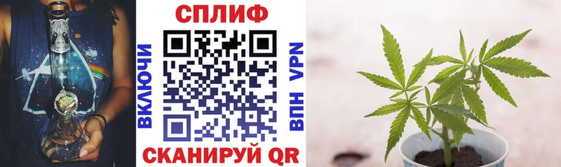 Купить где  Нахабино  Шишки марихуана марихуана 